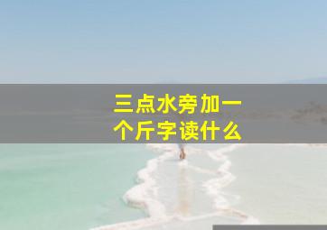 三点水旁加一个斤字读什么