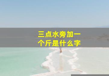 三点水旁加一个斤是什么字