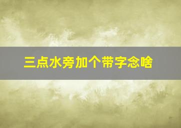 三点水旁加个带字念啥