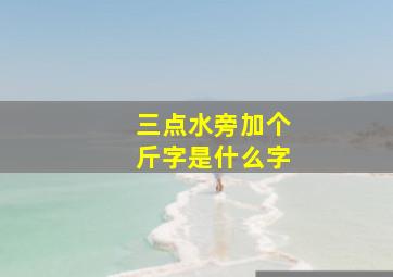 三点水旁加个斤字是什么字