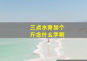 三点水旁加个斤念什么字啊