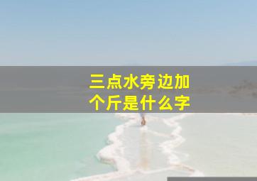 三点水旁边加个斤是什么字