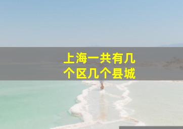 上海一共有几个区几个县城