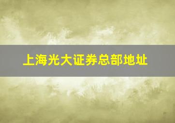 上海光大证券总部地址