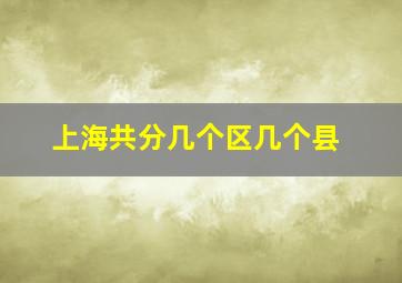 上海共分几个区几个县