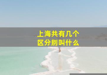 上海共有几个区分别叫什么