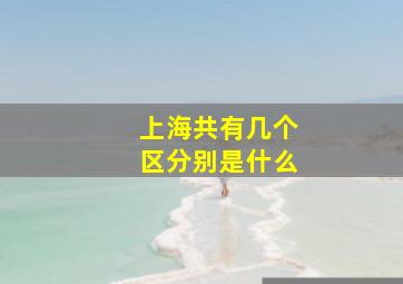 上海共有几个区分别是什么