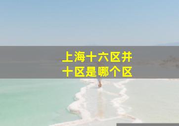 上海十六区并十区是哪个区