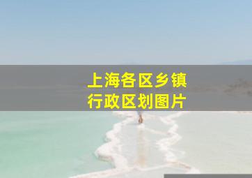 上海各区乡镇行政区划图片