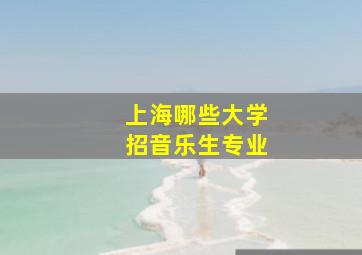 上海哪些大学招音乐生专业