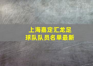 上海嘉定汇龙足球队队员名单最新