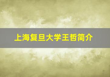 上海复旦大学王哲简介