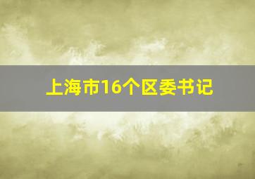 上海市16个区委书记