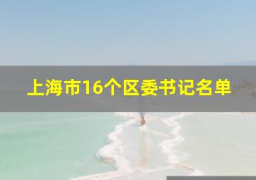 上海市16个区委书记名单