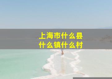 上海市什么县什么镇什么村