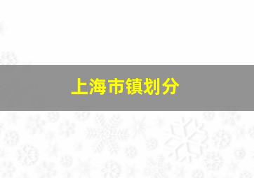 上海市镇划分