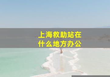 上海救助站在什么地方办公