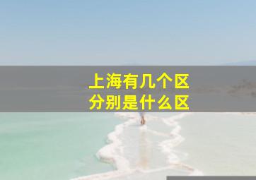 上海有几个区分别是什么区