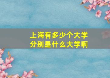 上海有多少个大学分别是什么大学啊