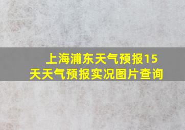 上海浦东天气预报15天天气预报实况图片查询