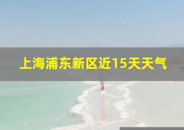 上海浦东新区近15天天气