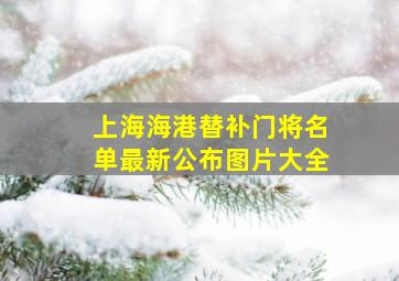 上海海港替补门将名单最新公布图片大全