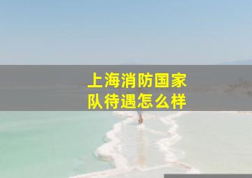 上海消防国家队待遇怎么样