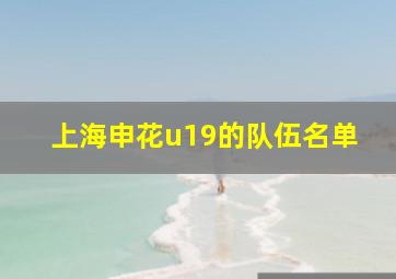 上海申花u19的队伍名单