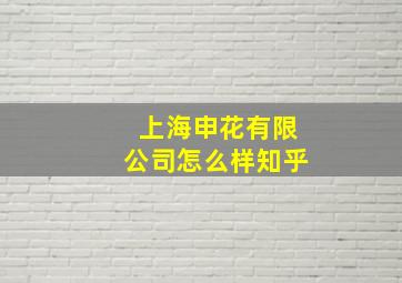 上海申花有限公司怎么样知乎