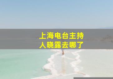 上海电台主持人晓露去哪了