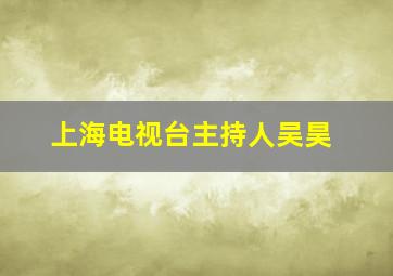 上海电视台主持人吴昊