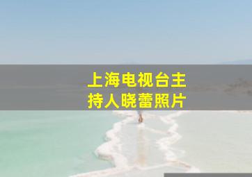 上海电视台主持人晓蕾照片