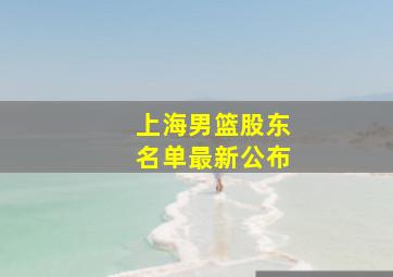 上海男篮股东名单最新公布