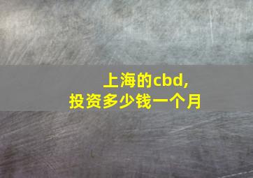 上海的cbd,投资多少钱一个月