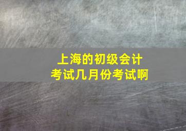 上海的初级会计考试几月份考试啊