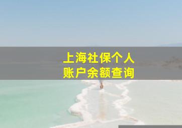 上海社保个人账户余额查询