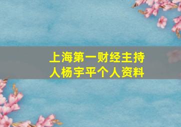 上海第一财经主持人杨宇平个人资料