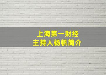 上海第一财经主持人杨帆简介