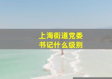 上海街道党委书记什么级别