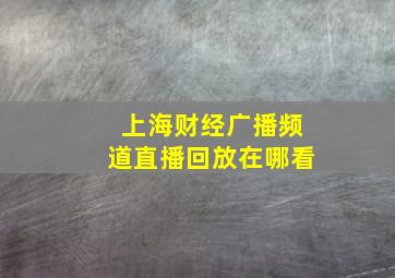 上海财经广播频道直播回放在哪看