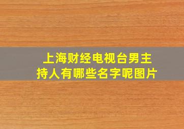 上海财经电视台男主持人有哪些名字呢图片