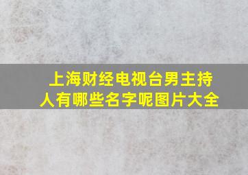 上海财经电视台男主持人有哪些名字呢图片大全