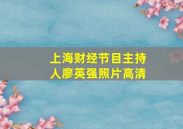 上海财经节目主持人廖英强照片高清