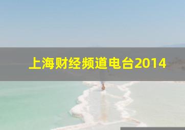 上海财经频道电台2014