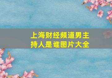 上海财经频道男主持人是谁图片大全