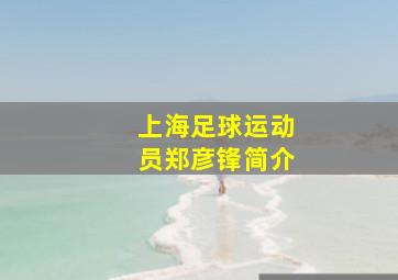 上海足球运动员郑彦锋简介