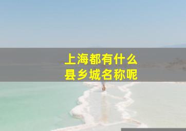 上海都有什么县乡城名称呢