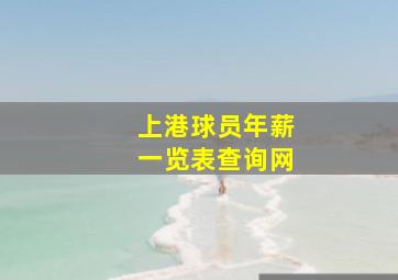 上港球员年薪一览表查询网