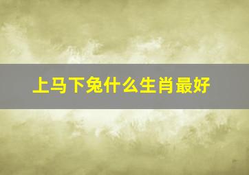 上马下兔什么生肖最好