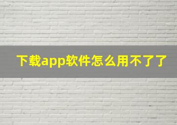 下载app软件怎么用不了了